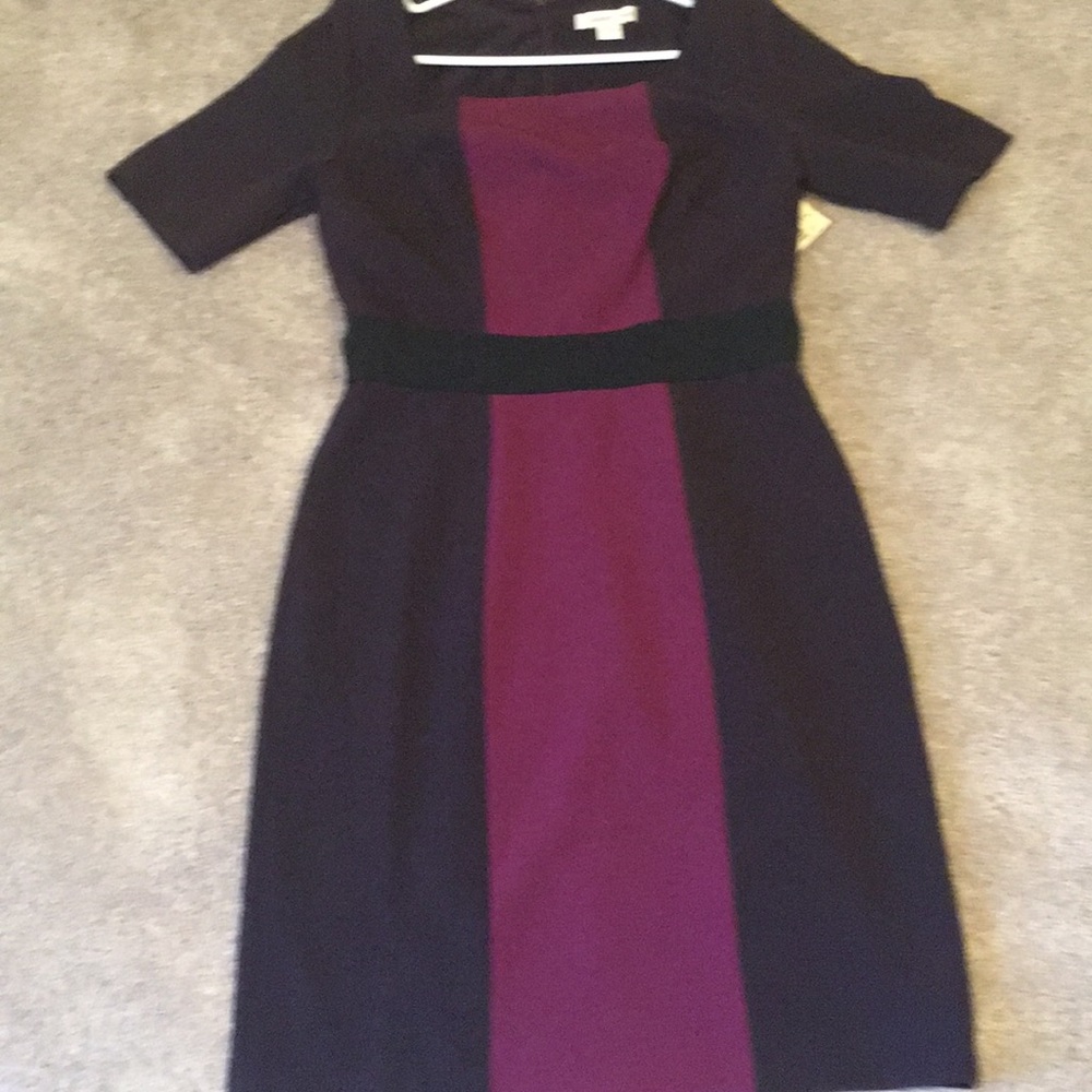 Coldwater Creek color block pencil dress sz6